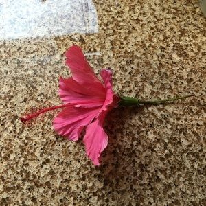 ❤️❤️❤️❤️❤️